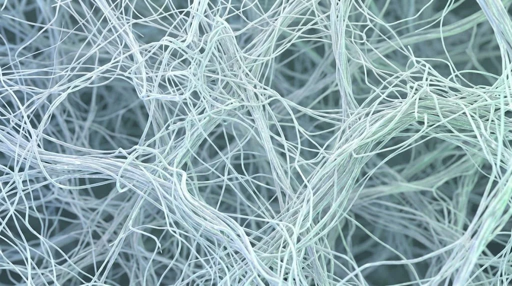 Microfibrillated cellulose network image supplied by NeoNaar